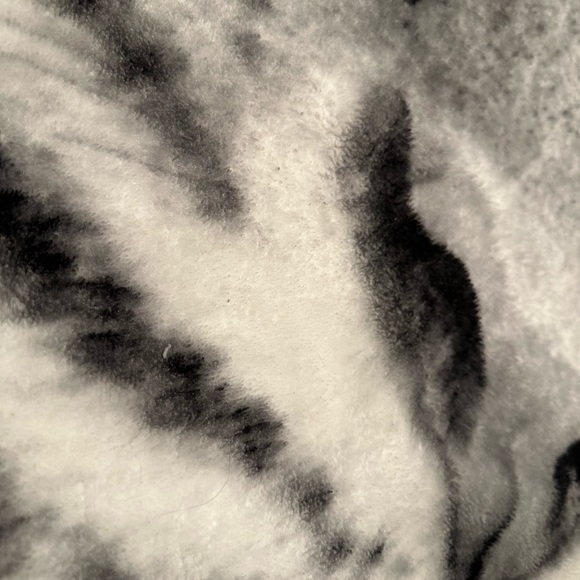 Siberian Tiger Fleece Blanket 5 by 4 - Picture 3 of 4